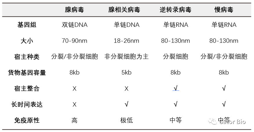 6c05fcc8-f7a7-4c96-a3f8-2c7946d65bb6.png