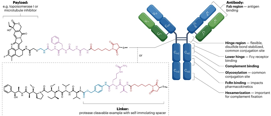 50af0649259b435db6561e086e31e0c2.png 50af0649259b435db6561e086e31e0c2.png