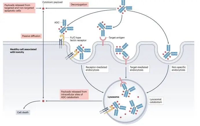 c8cb132672069b942ec5ce37adcfc0a5.jpg c8cb132672069b942ec5ce37adcfc0a5.jpg